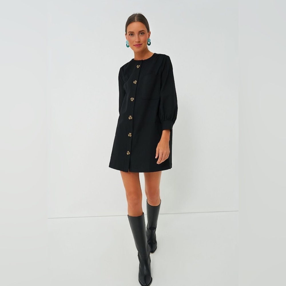 Tuckernuck Blake Long Sleeve Button Down Minimalist Mini Dress